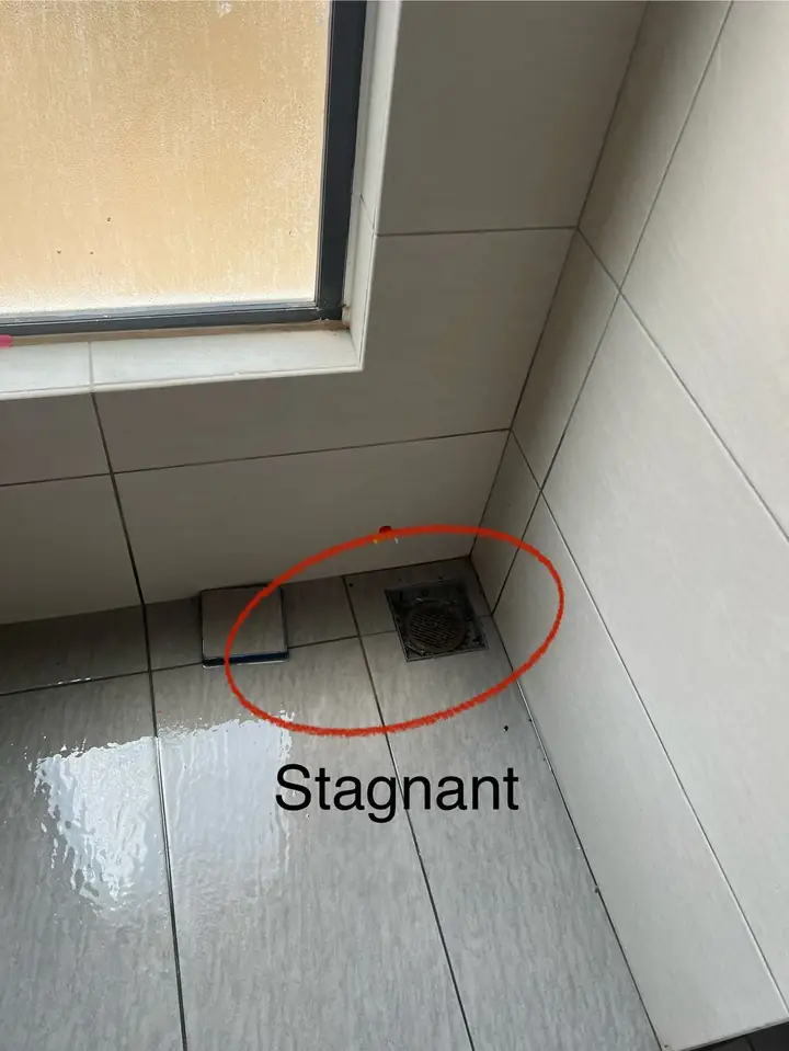 Water left standing near a bathroom floor trap, labelled stagnant